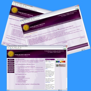 TSI Sample